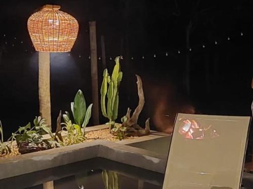 a room with a table with plants and a lamp at Pousada da Lua in Delfinópolis