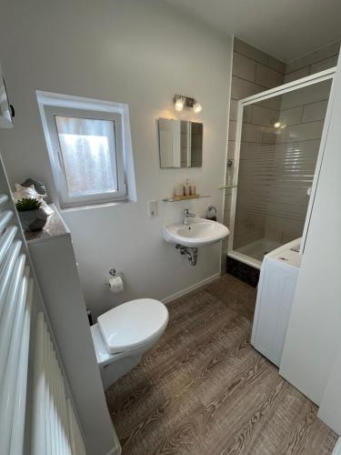 a bathroom with a toilet and a sink and a shower at Moderne Wohlfühl-Wohnung in Troisdorf Altenrath in Troisdorf