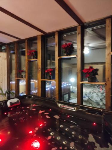 a room with windows with red flowers in them at Penzion Kosky in Hamr