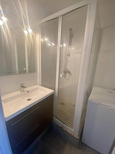 La salle de bains est pourvue d'une douche et d'un lavabo blanc. dans l'établissement BEL APPARTEMENT P2 - CENTRE VILLE - BORD DE MER, à La Grande Motte