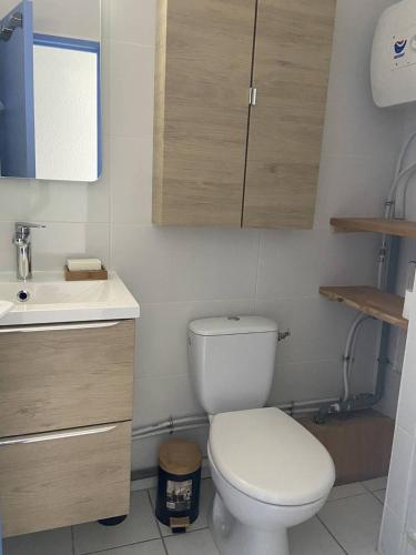BEAU STUDIO 4 PERSONNES AVEC LOGGIA ET PARKING PRIVATIF