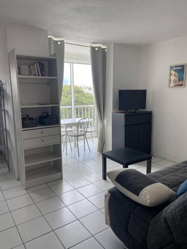 BEAU STUDIO 4 PERSONNES AVEC LOGGIA ET PARKING PRIVATIF