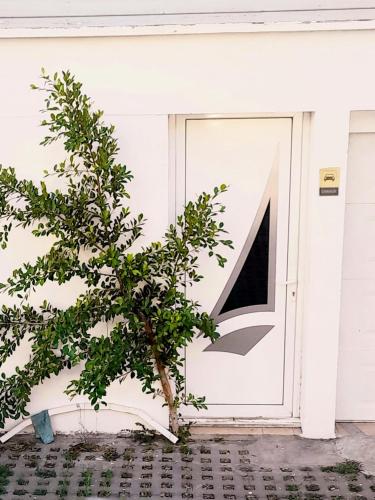 Φωτογραφία από το άλμπουμ του Appartement confortable à Saint-Gilles les Bains 27 m² avec vue σε Saint-Paul