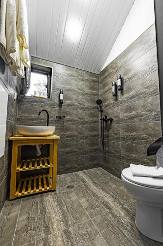 a bathroom with a shower and a sink and a toilet at Saint Constantine Mountain Retreat in Peshtera