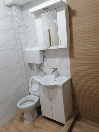 a bathroom with a toilet and a sink and a mirror at Apartman Ika 3N in Kraljevo