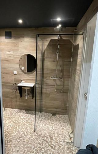 een badkamer met een douche en een wastafel bij Maison Dépendance Privative in Benfeld