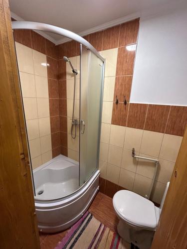 a bathroom with a toilet and a glass shower at Калина in Dragobrat