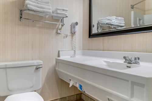 a bathroom with a sink and a toilet and a mirror at Quality Inn in Saint Ignace