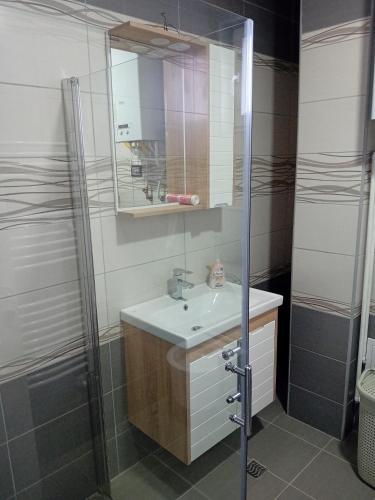 a bathroom with a sink and a shower with a mirror at Ruma Deluxe 90m2 in Ruma