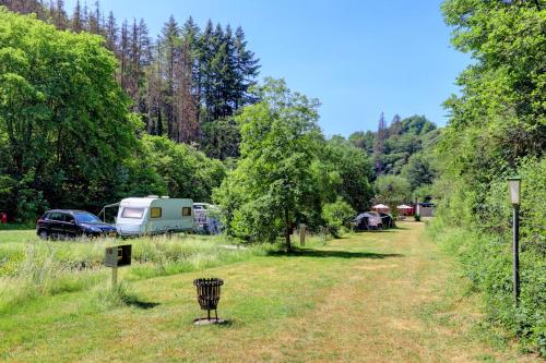 un campeggio con un grill in erba con auto parcheggiate di Camping Drei Spatzen a Utscheid