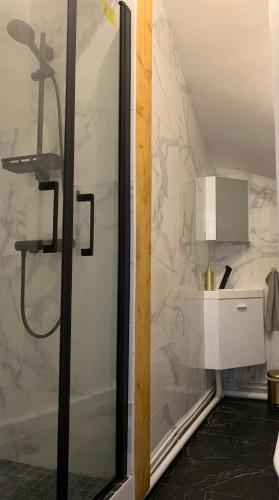 une douche avec une porte vitrée dans une salle de bain dans l'établissement Studio N°2 Plein coeur de Rouen, à Rouen