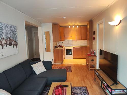 ein Wohnzimmer mit einem Sofa und einer Küche in der Unterkunft Actif 329 - apartment by Ål skisenter in Ål