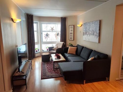 ein Wohnzimmer mit einem Sofa und einem TV in der Unterkunft Actif 329 - apartment by Ål skisenter in Ål