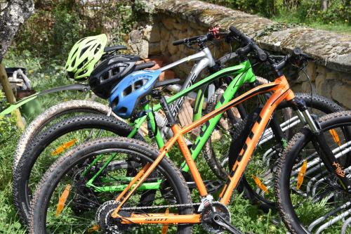 Jazda na bicykli v okolí ubytovania Charmecamping Domaine Bleu Celeste