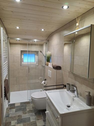 a bathroom with a toilet and a sink and a shower at Alpenbauernhaus Konzett in Schruns-Tschagguns