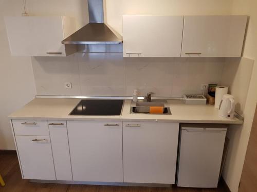 eine Küche mit weißen Schränken und einem Waschbecken in der Unterkunft Zagreb apartment in Zagreb