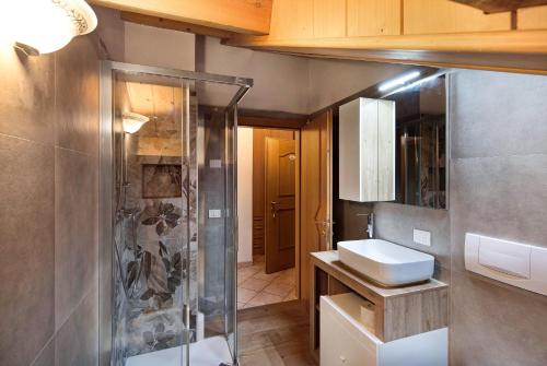 W łazience znajduje się prysznic i umywalka. w obiekcie Appartamento Piz Saliente w Livigno