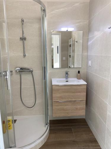 une salle de bain avec douche et lavabo dans l'établissement Le Faubourg, à Rodez