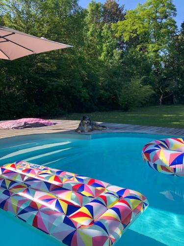 - une piscine avec un parasol et deux parasols dans l'établissement Le Clos des Eaux, à Tailly