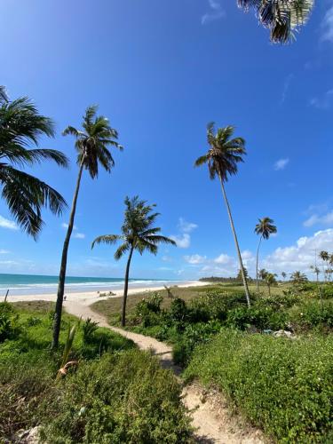 un camino que conduce a una playa con palmeras en Suítes a 15 metros da praia en Marechal Deodoro