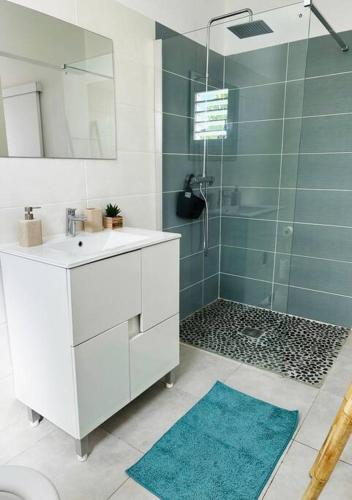 uma casa de banho com um chuveiro, um lavatório e um espelho. em Villa Pacifico avec spa em Baillif