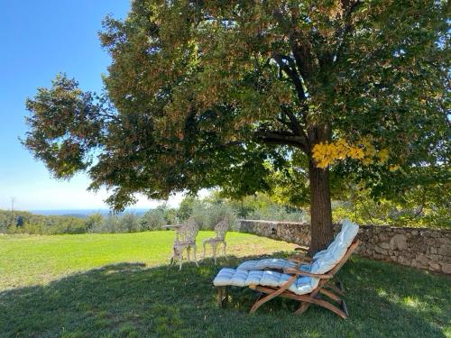 una silla bajo un árbol a la sombra de un árbol en Podere Cereo, en Villaga