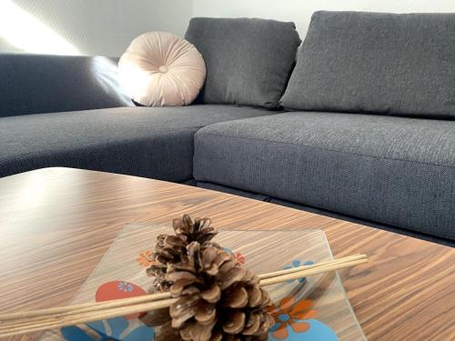 ein Wohnzimmer mit einem Sofa und einem Kiefernzapfen auf dem Tisch in der Unterkunft Fée clochette # Centre de Reims in Reims