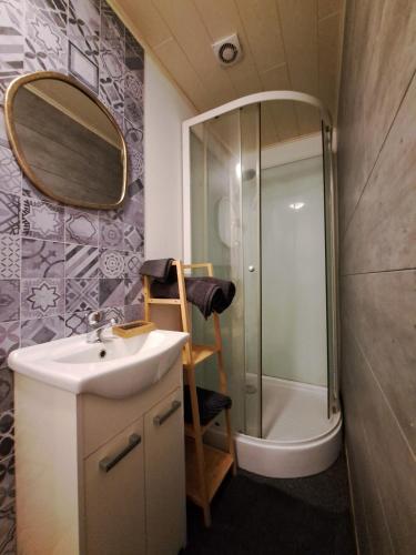 a bathroom with a sink and a shower with a mirror at Aux champs des cloches in Houffalize