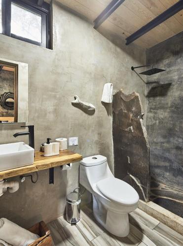 a bathroom with a toilet and a sink at Cabaña Petunia, Tapalpa in Tapalpa