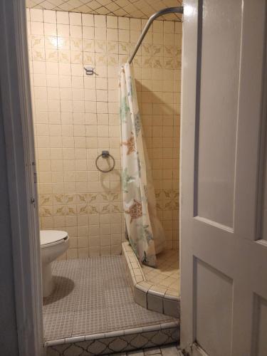 a bathroom with a toilet and a shower curtain at Anys Hostal in Mexico City