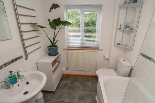 a bathroom with a sink and a toilet and a plant at Kernyk in Helston