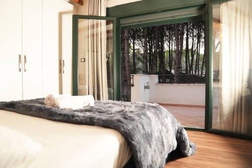 Billede fra billedgalleriet på The Beachfront Villa by PikHost i Golem