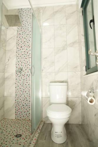 a bathroom with a toilet and a shower at The Beachfront Villa by PikHost in Golem