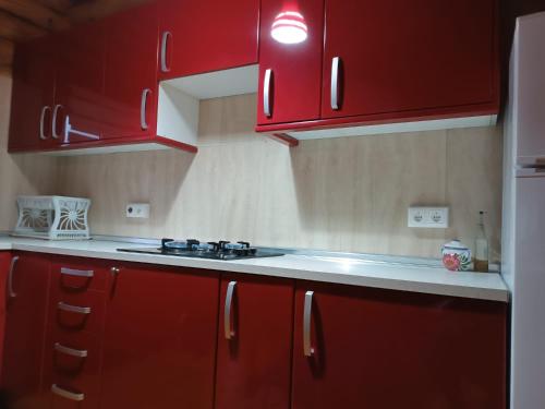 een keuken met rode kasten en een wastafel bij Gran Cabaña Falaguera in Bárig