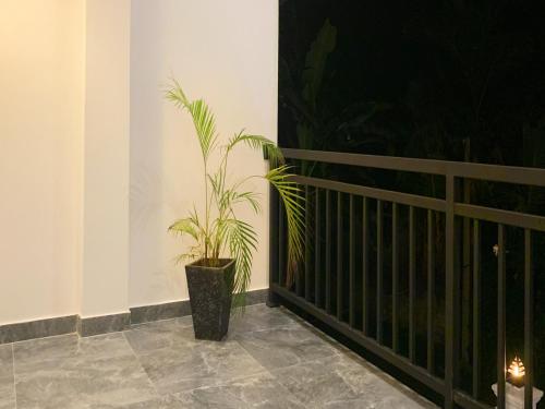 a plant in a pot sitting on a balcony at Golden Wave in Ahangama