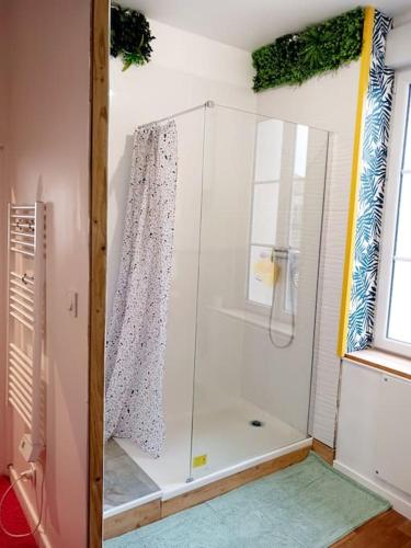 eine Dusche mit Glastür im Bad in der Unterkunft Maisonnette Cosy wifi gratuit Rochefort in Rochefort