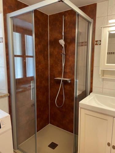 La salle de bains est pourvue d'une douche et d'une cabine de verre. dans l'établissement Apartment Krämerhaus Annaberg, Dachstein West, à Annaberg-Lungötz