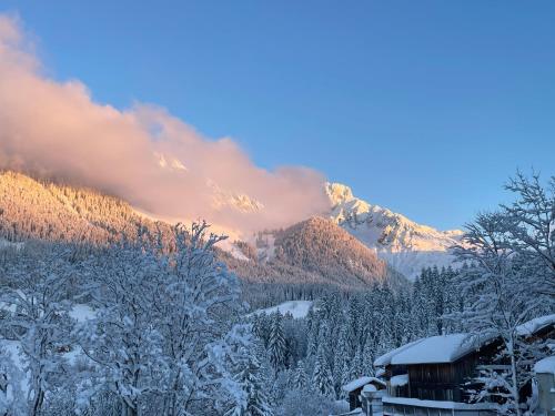 a winter view of a mountain with snow covered trees at Apartment Krämerhaus Annaberg, Dachstein West in Annaberg im Lammertal