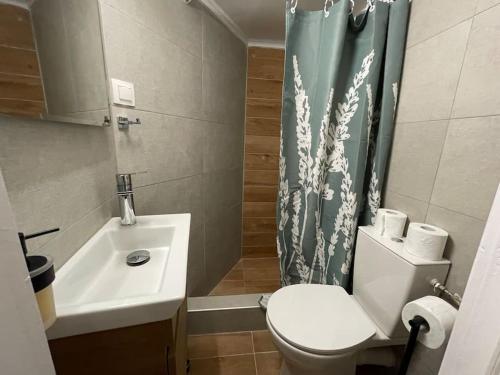 Palmera FreeParking Studio