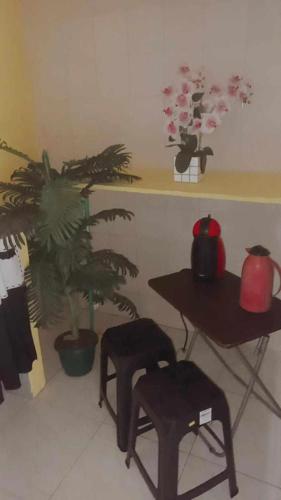 um quarto com uma mesa e um vaso de plantas em Olympios House no Rio de Janeiro