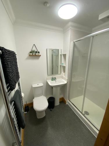 y baño con aseo, lavabo y ducha. en Stylish 1 bedroom apartment in Norwich city centre en Norwich