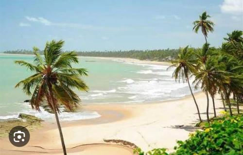 a beach with palm trees and the ocean at Casa de praia in Japaratinga