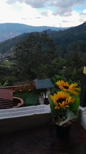 a vase with yellow flowers sitting on a ledge at finca casita el mirador in Medellín