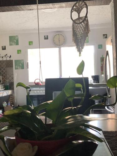 Fotografie z fotogalerie ubytování Naranjo Hostel v destinaci Cancún