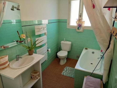 uma casa de banho verde com um WC e um lavatório em Maison 4 pers avec jardin au pied des montagnes em Ria