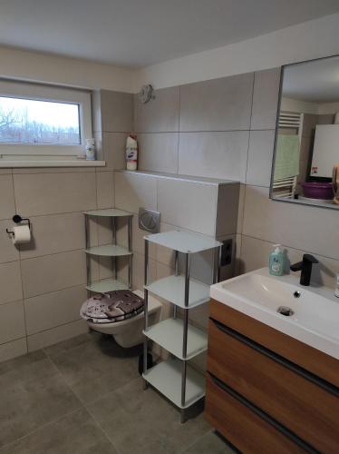 y baño con lavabo, aseo y espejo. en Apartmán Lanžhot, en Lanžhot