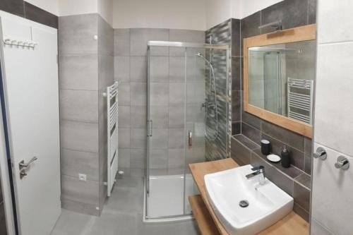 een badkamer met een wastafel en een douche bij Apartment KORZO 318/3 in Lipno nad Vltavou