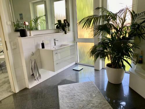 uma casa de banho com um lavatório e um vaso de plantas em Luxuriöse Villa zwischen Hannover und Hildesheim em Nordstemmen
