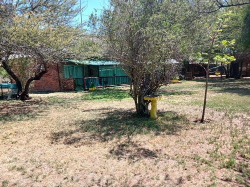 a yellow fire hydrant next to a tree in a yard at A1 Paradise Inn in Bobbejaanstert