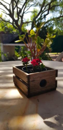 a wooden planter with red flowers in it at La Quimera a pasos de la playa in Atlántida